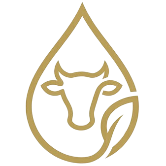 company logo fotor 20260604142310 removebg preview